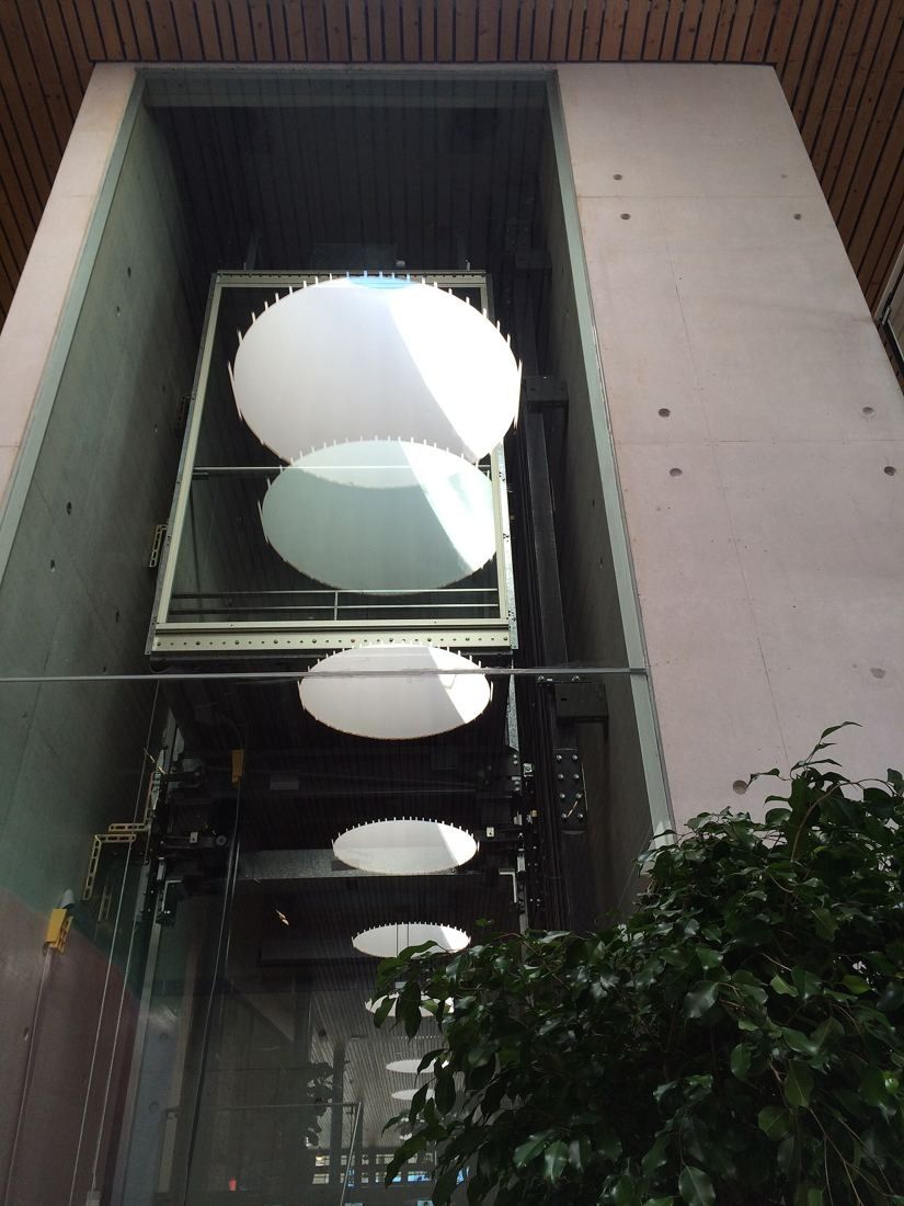 Telenor: Concrete light shaft with round skylights and a plant