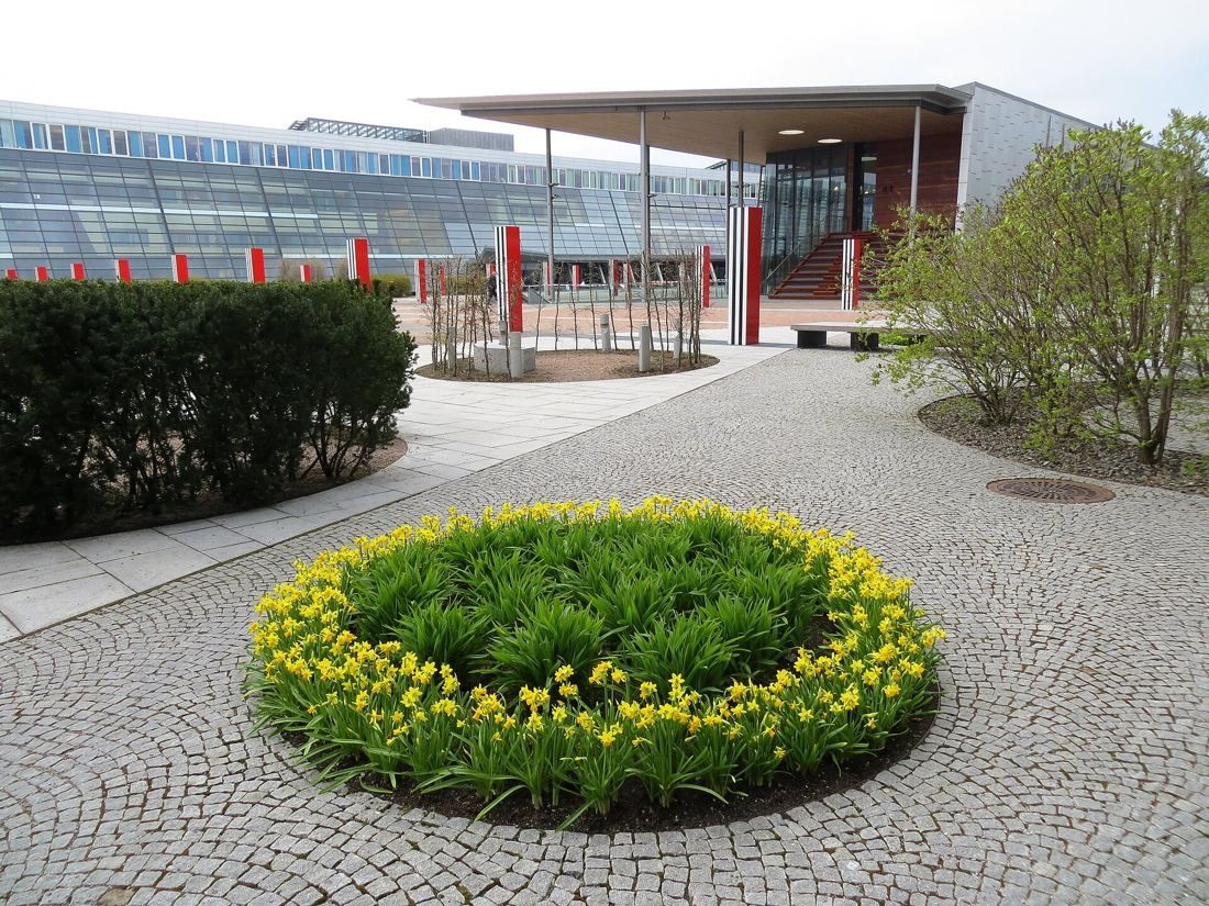 Telenor: Paved courtyard with a round bed of yellow flowers and a glass canopy