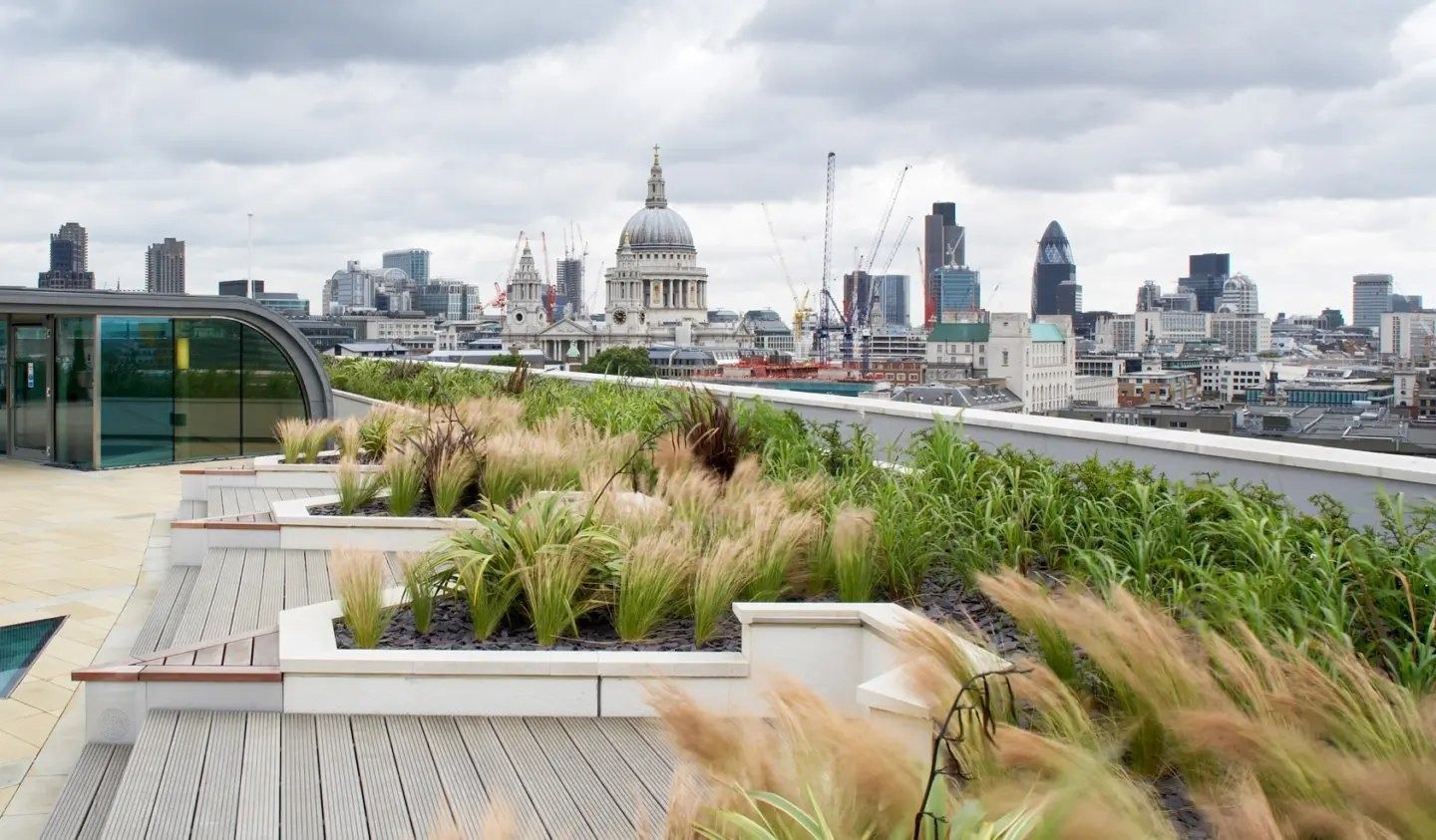 Unilever: Planted roof terrace with a view of St Paul's