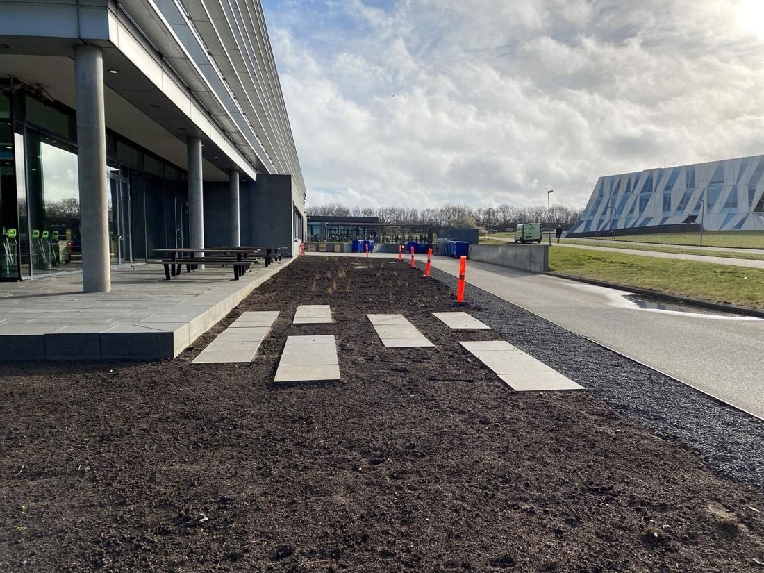 Vestas: Newly prepared planting bed with stepping slabs beside the building, with an angled glass building in the distance