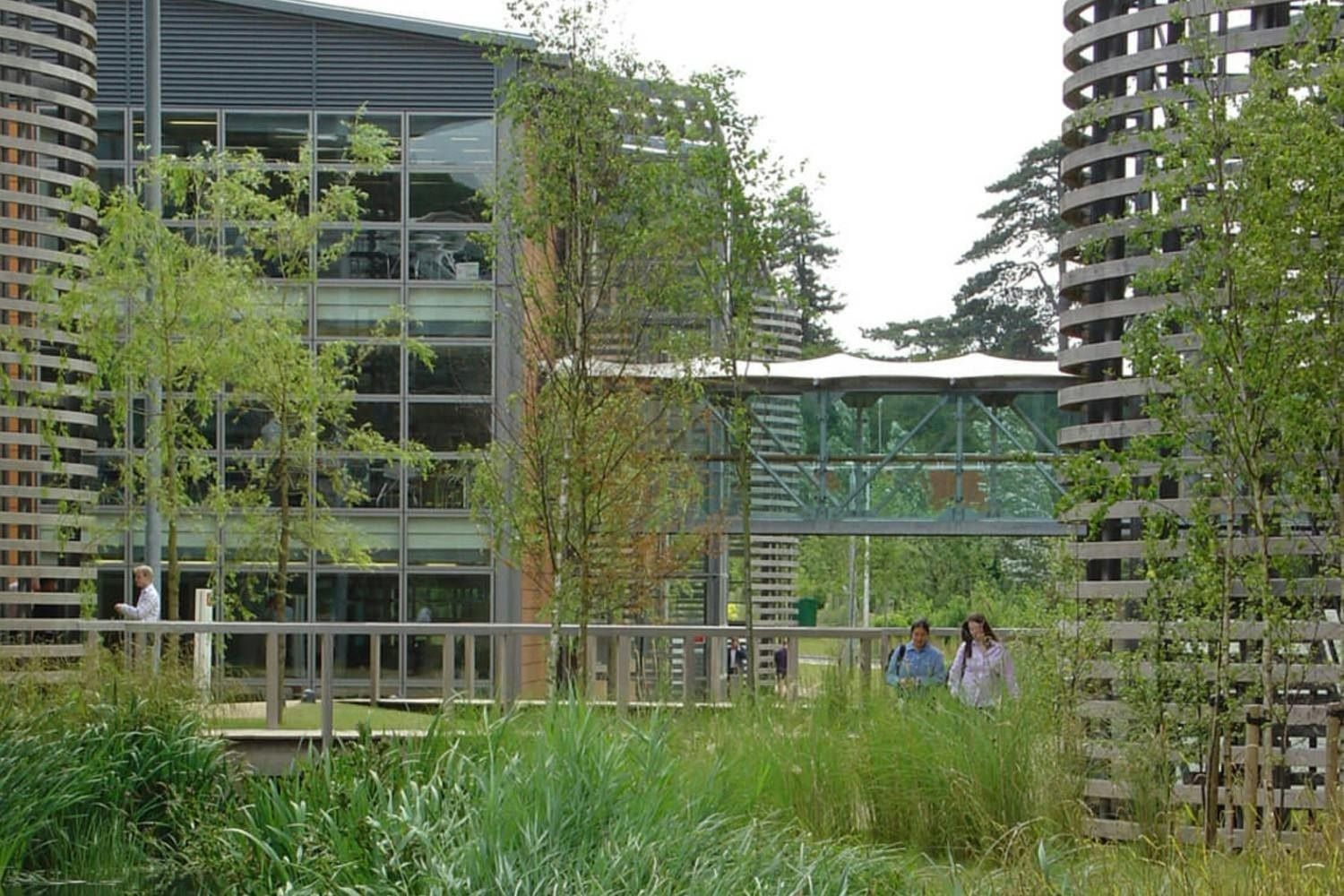 Vodafone: Glass-walled office buildings with a glazed bridge between them, seen through trees and grasses