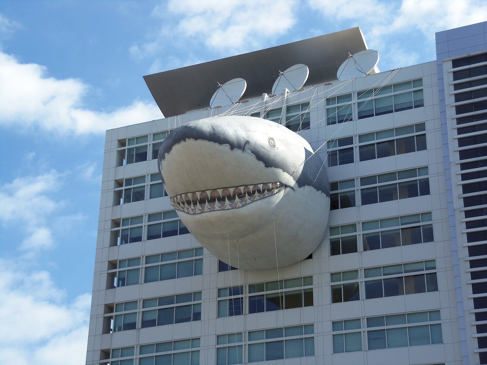 Discovery building in Silver Spring with a giant shark sculpture