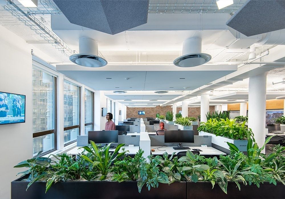 Warner Bros. Discovery: Open desks behind planters by tall windows