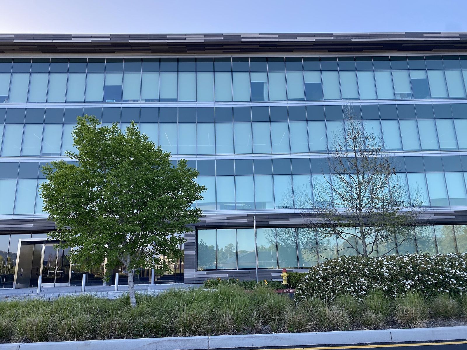 Western Digital: Close view of glass facade bands behind a tree and grasses