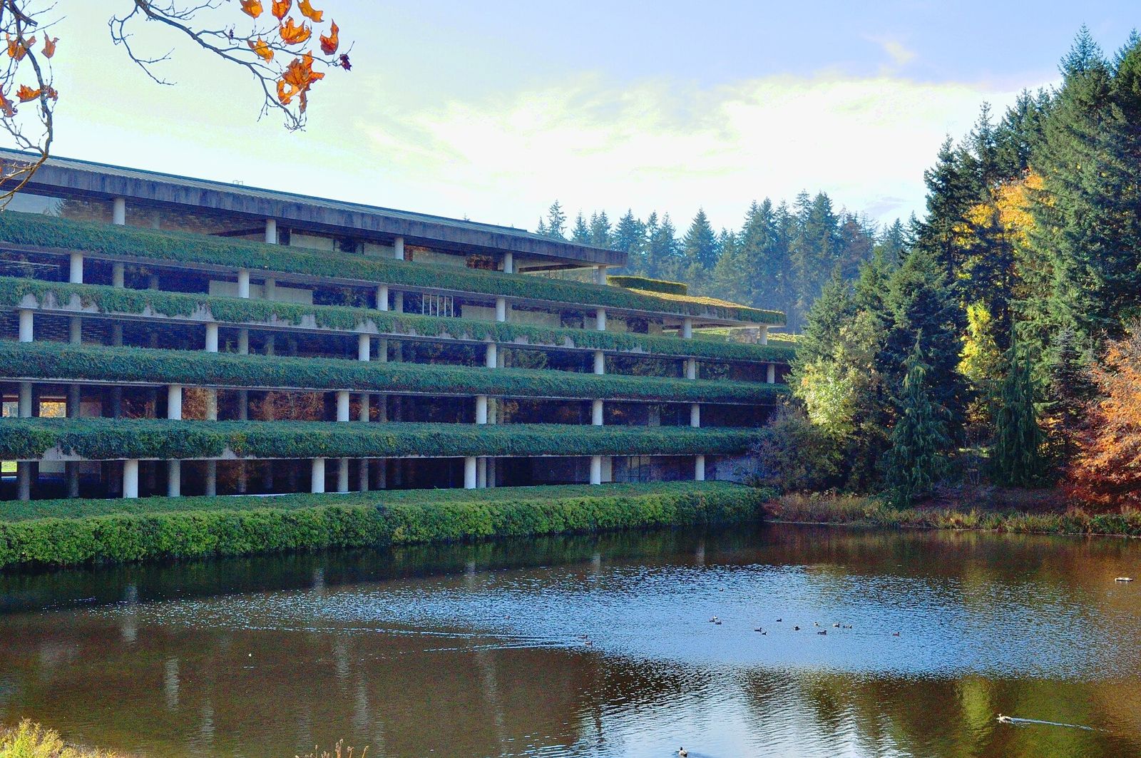 Terraced building with hanging plants above a pond