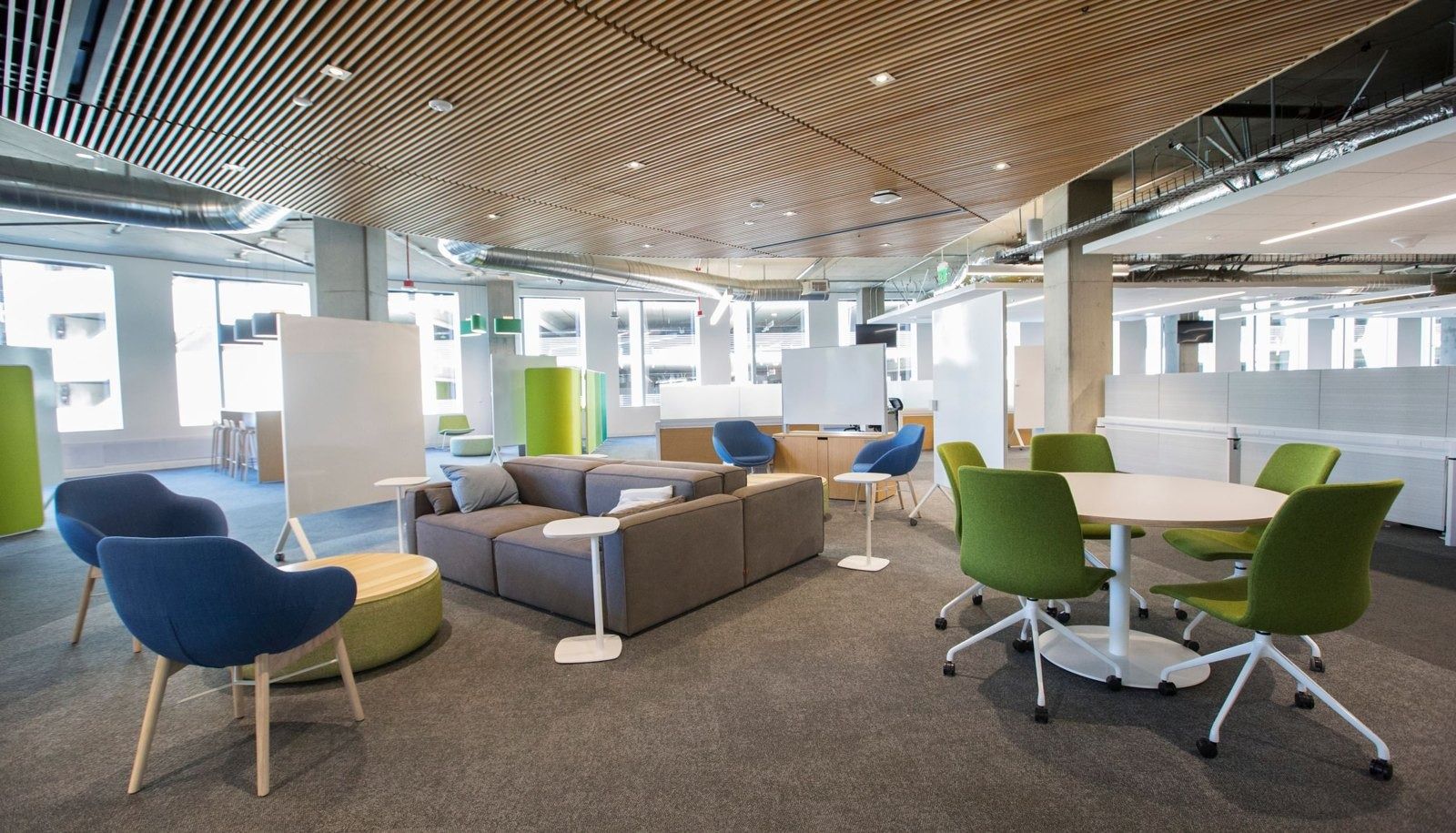 Workday: A bright lounge with blue and green chairs under a timber slat ceiling