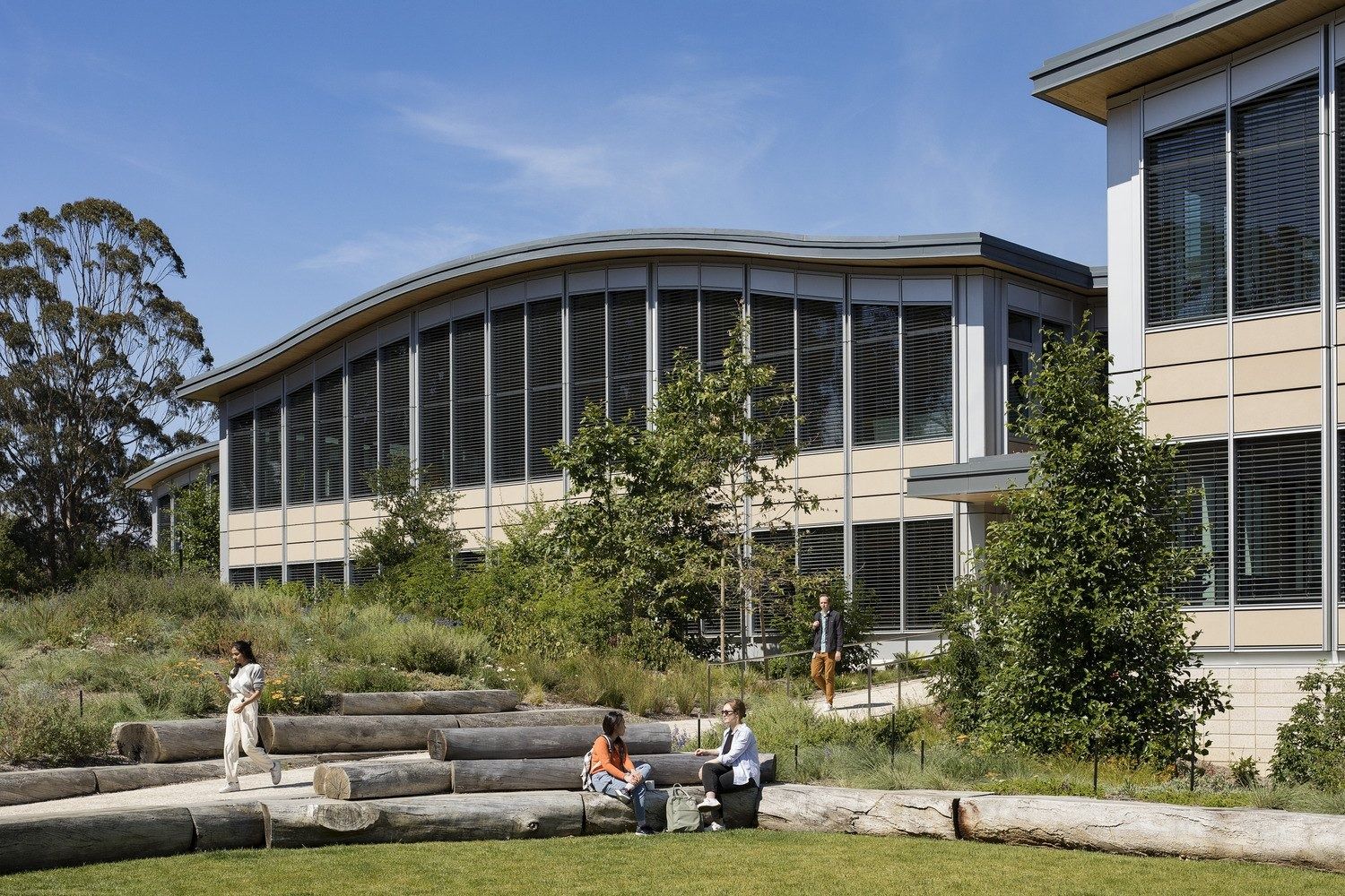 YouTube: Curved-roof building with tall vertical windows behind a lawn and log seating