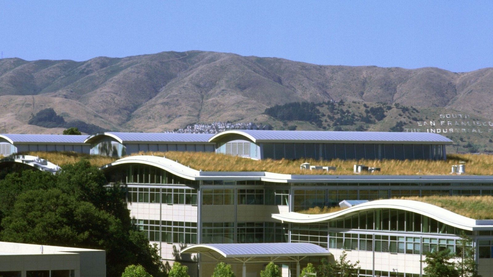 Low office buildings with wave-shaped roofs covered in grasses, hills behind