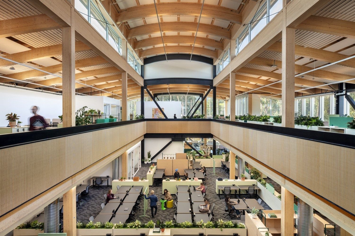 YouTube: Multi-storey atrium with exposed timber beams and columns above an open work floor
