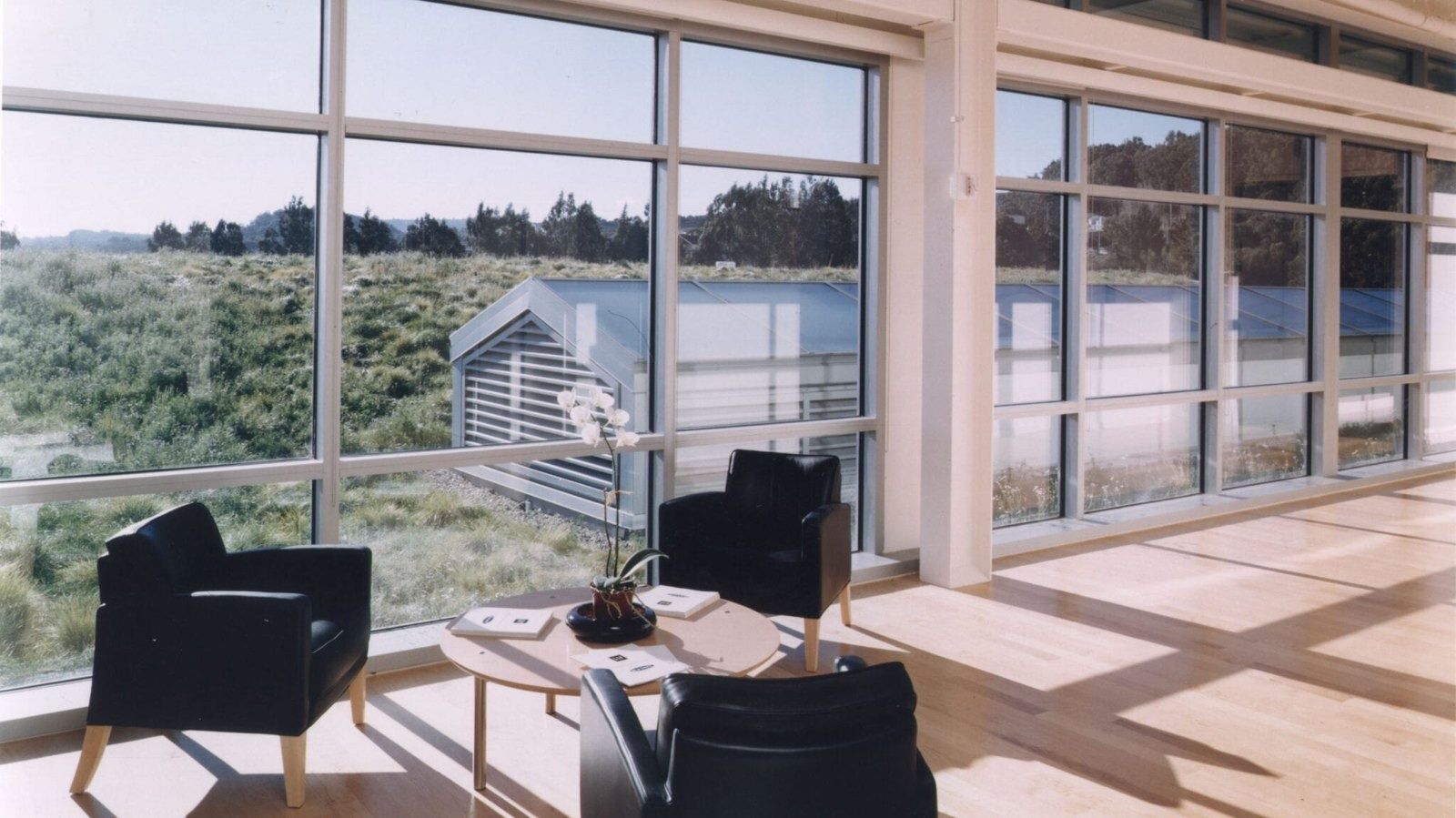 YouTube: Sunlit lounge with black armchairs beside floor-to-ceiling windows overlooking a grass roof