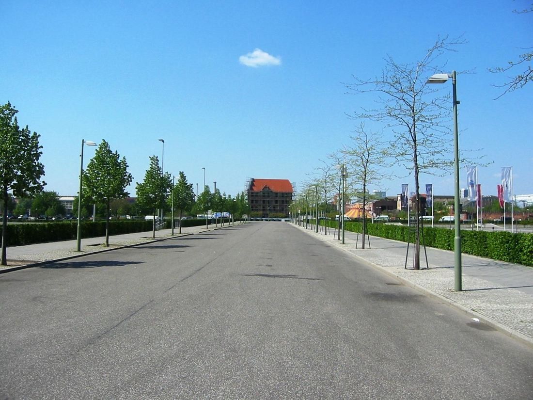 Empty new street with young trees across the undeveloped site
