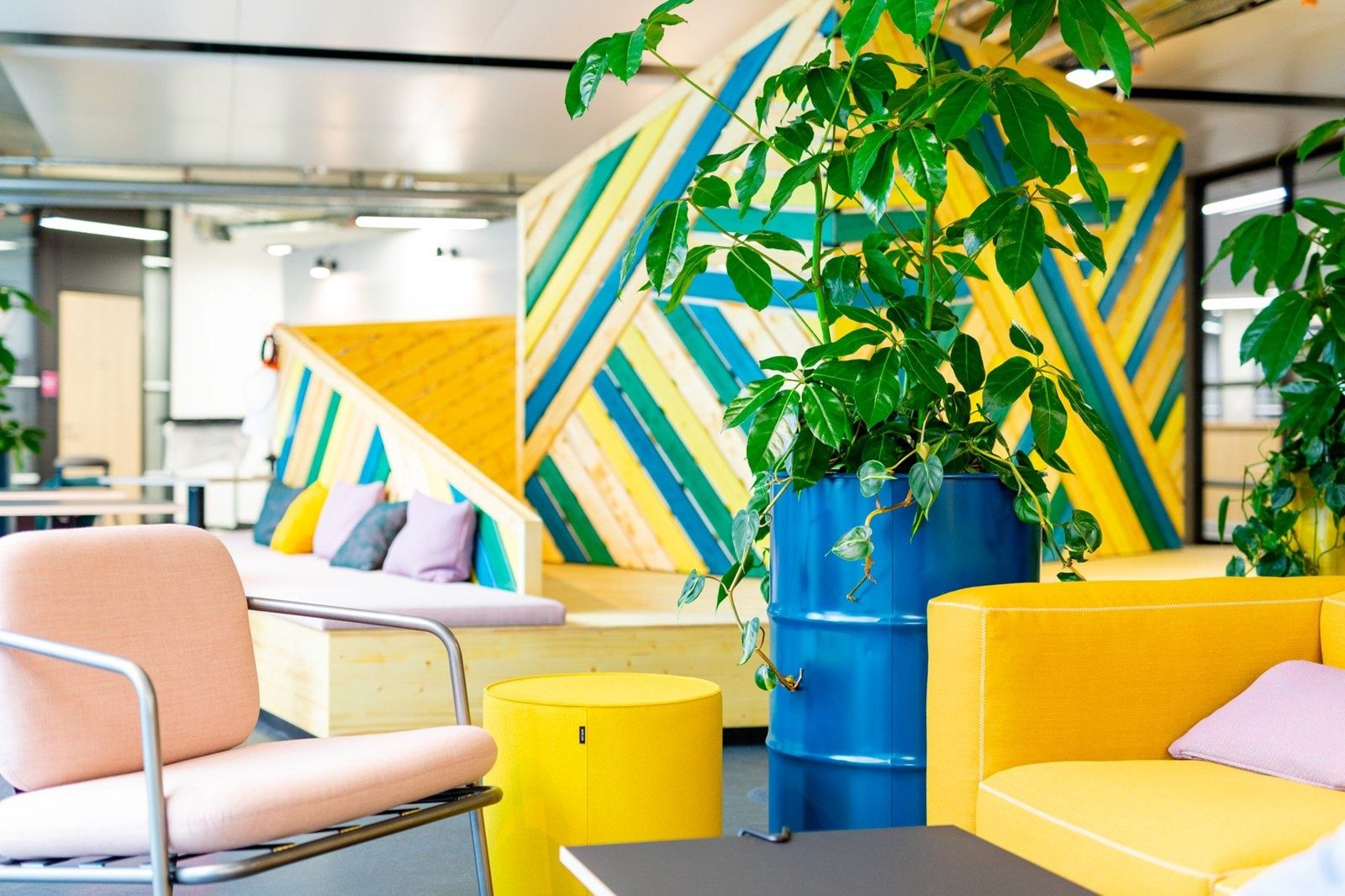 Zalando: Lounge with yellow and blue armchairs, a large plant in a blue barrel and a striped timber wall