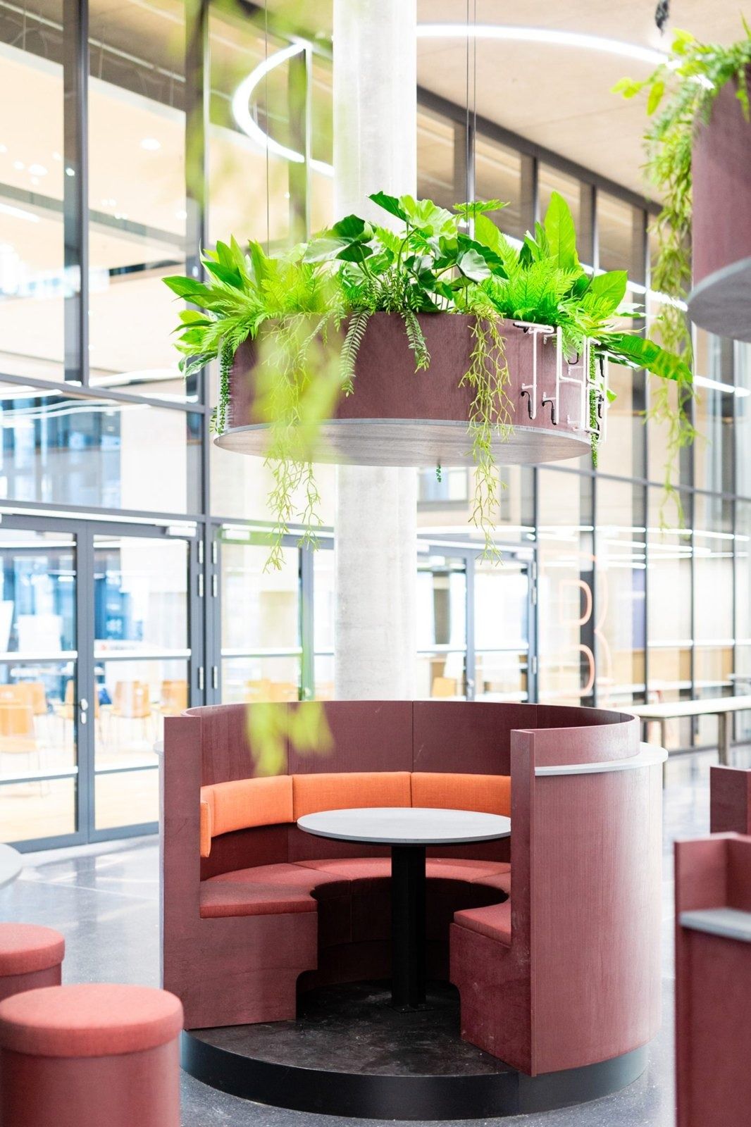 Zalando: Round booth seating beneath a hanging planter
