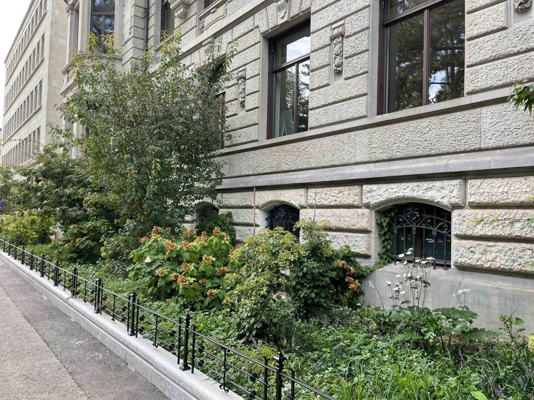 Zurich Insurance Group: Front garden with shrubs and a low iron fence beside a grey stone facade